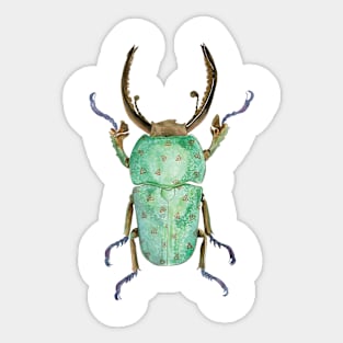 Beetle Sticker